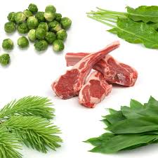 โภชนาการผู้ชาย